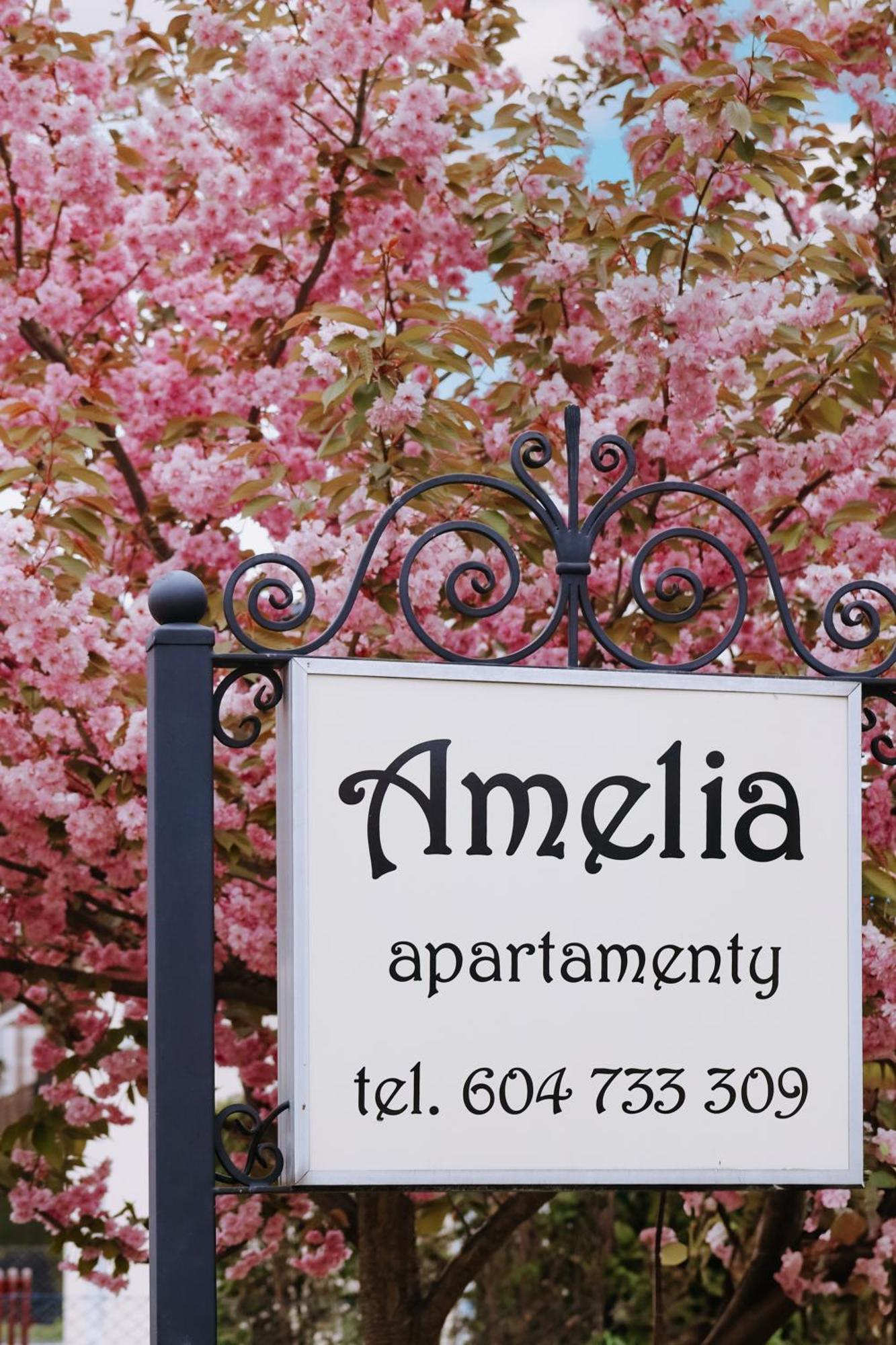 Amelia Apartamenty - Sala Zabaw, 2 Sypialnie, Garaz Podziemny Władysławowo المظهر الخارجي الصورة