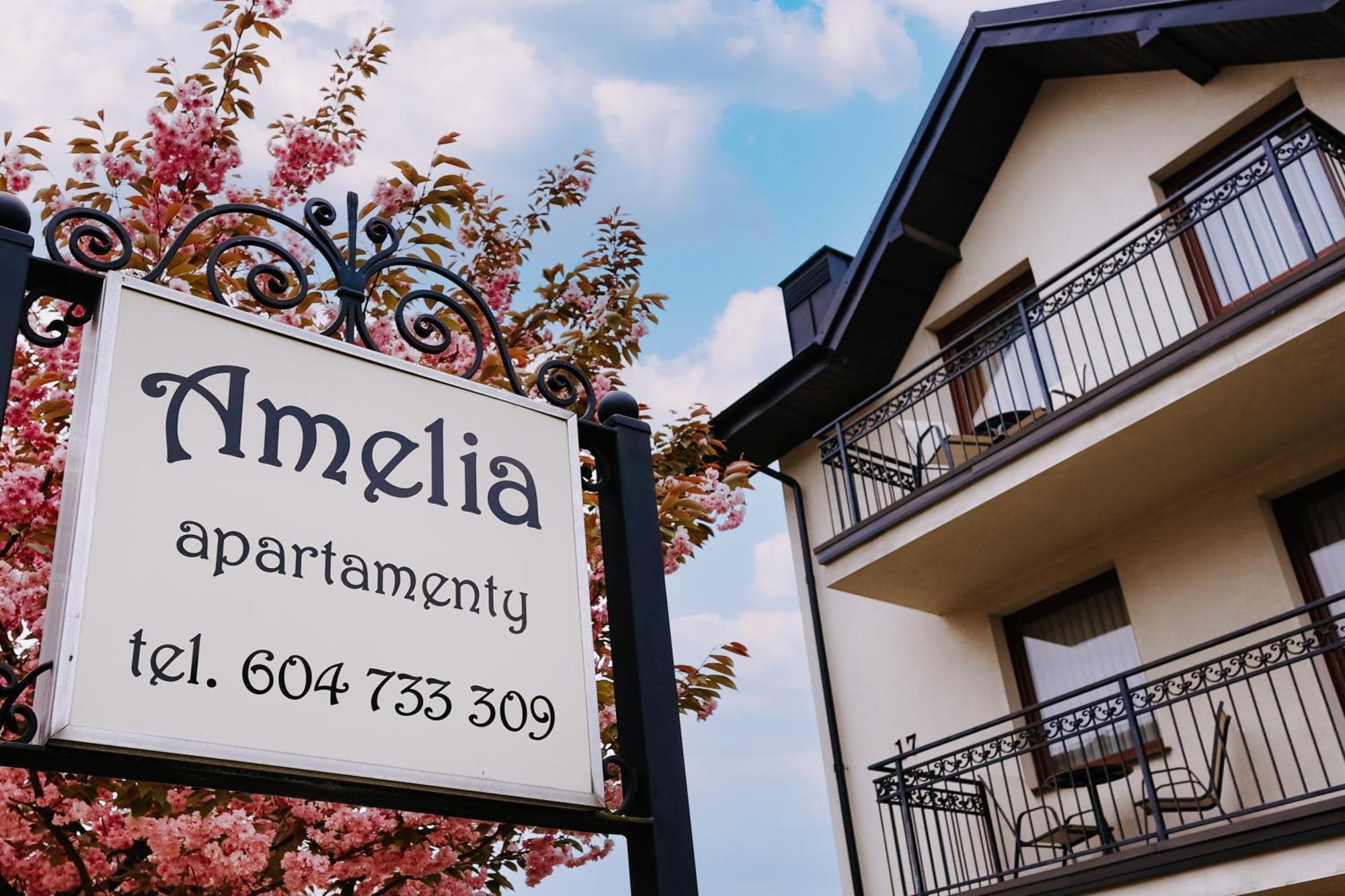 Amelia Apartamenty - Sala Zabaw, 2 Sypialnie, Garaz Podziemny Władysławowo المظهر الخارجي الصورة